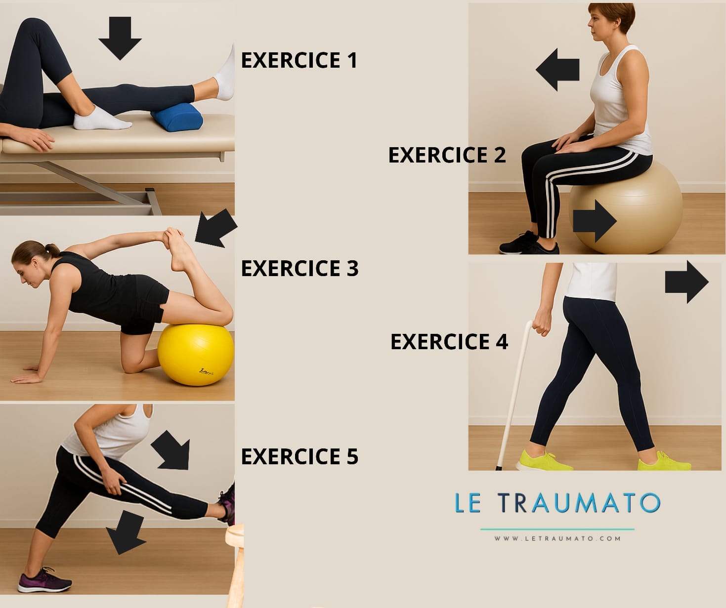 Image pédagogique représentant cinq exercices adaptés à l’arthrose du genou, avec flèches directionnelles indiquant les mouvements à effectuer. Chaque exercice est numéroté : renforcement du quadriceps, assise sur ballon, étirement du quadriceps avec appui, travail d’équilibre avec canne, et étirement ischio-jambier. Illustration signée LeTraumato.com pour guider les patients dans leur rééducation.