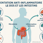 Infographie alimentation anti-inflammatoire pour le dos et les intestins – Traumatologie LeTraumato.com