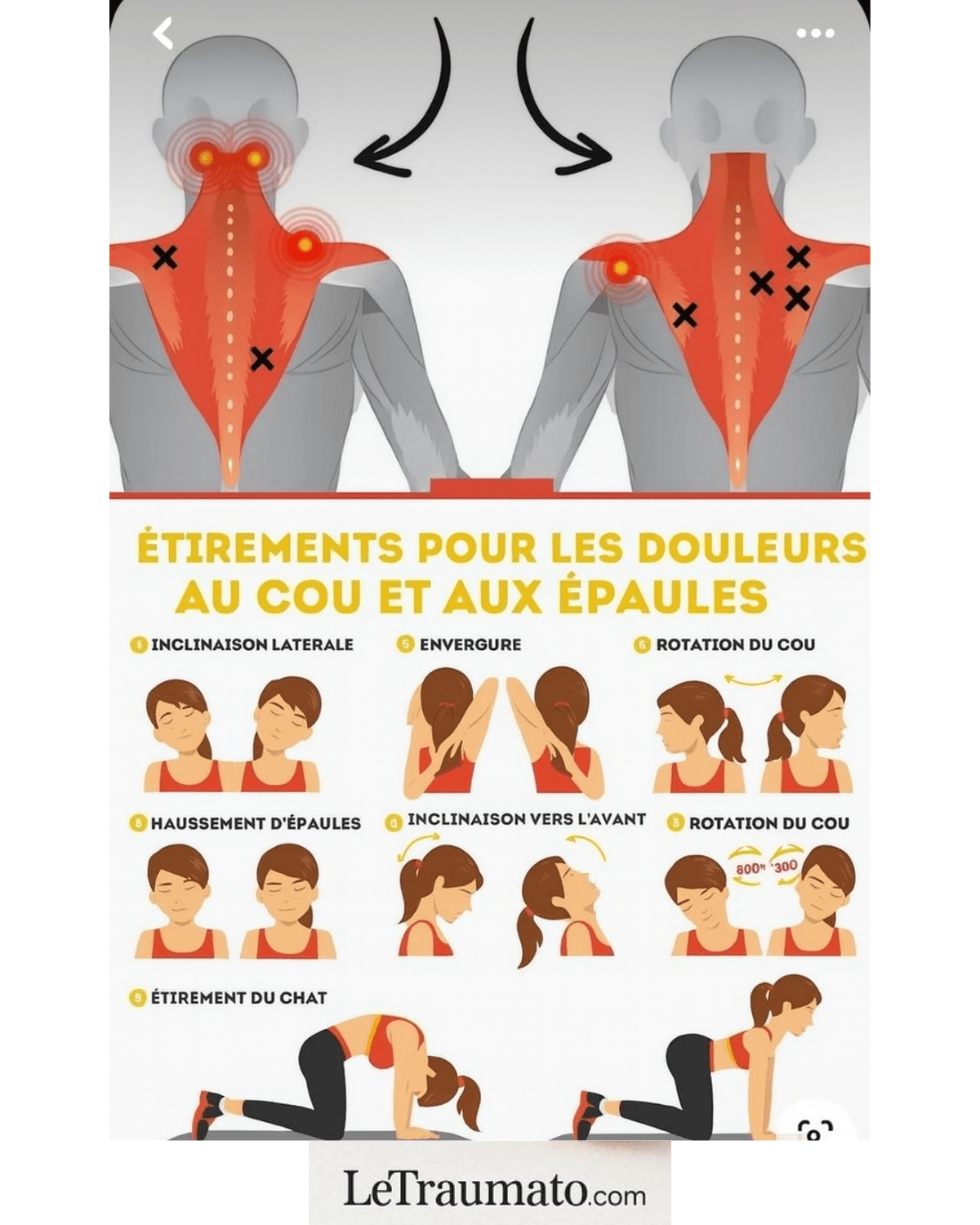 Image explicative en français présentant 7 exercices pour détendre le cou et les épaules : inclinaisons, rotations, envergure, étirement du chat… Chaque mouvement est illustré pour faciliter la réalisation. Ces exercices favorisent la circulation, diminuent les tensions et préviennent les contractures. Outil visuel éducatif signé LeTraumato.com.