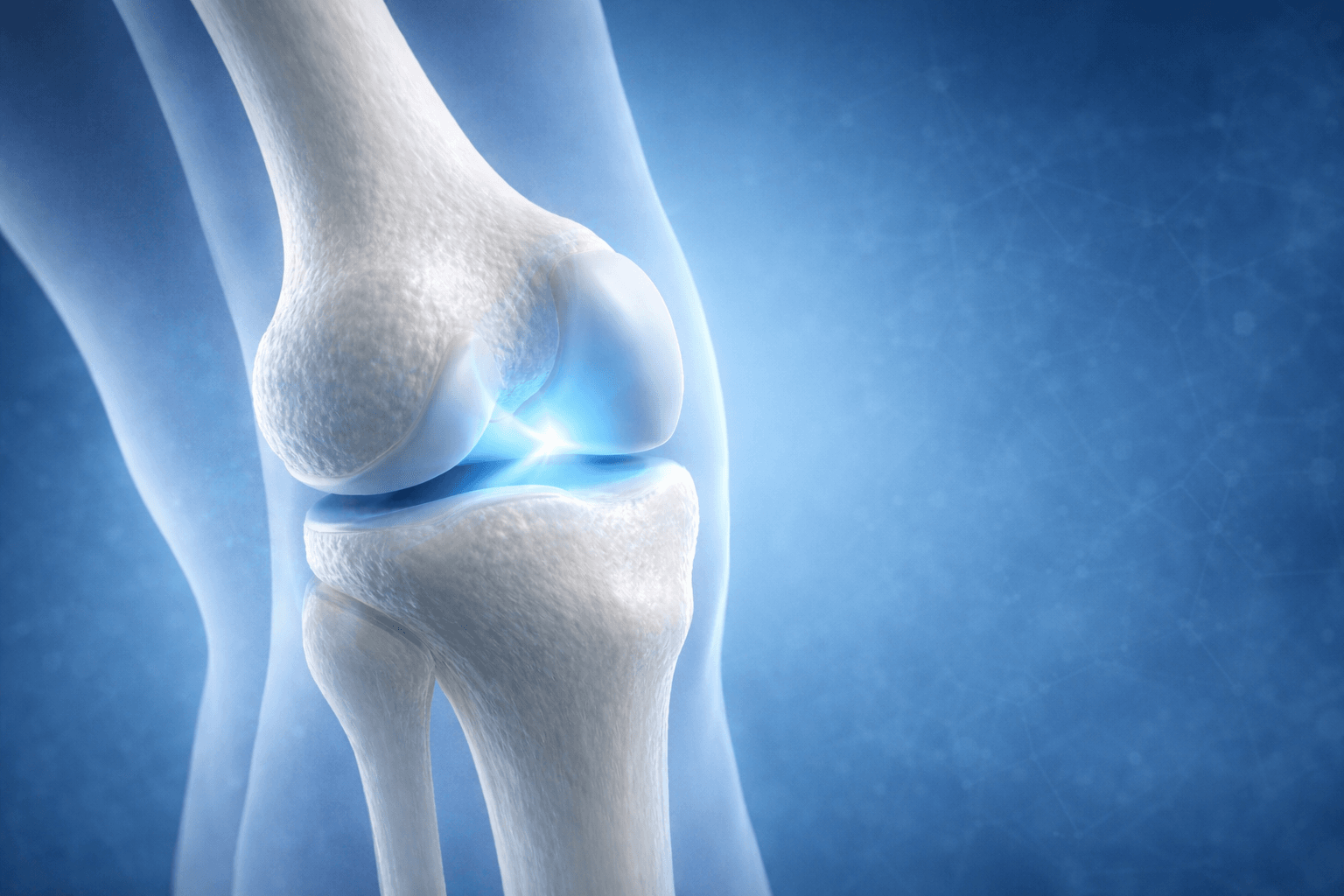 Illustration médicale 3D en vue semi-transparente d’une articulation du genou humain montrant les os ivoire, le cartilage lisse et l’espace articulaire mis en évidence par un halo lumineux bleu, représentant la zone de glissement et de friction articulaire