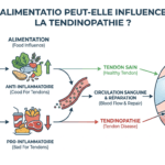 Image explicatif de: L'alimentation peut-elle influencer la tendinopathie ? et Régime et tendinopathie